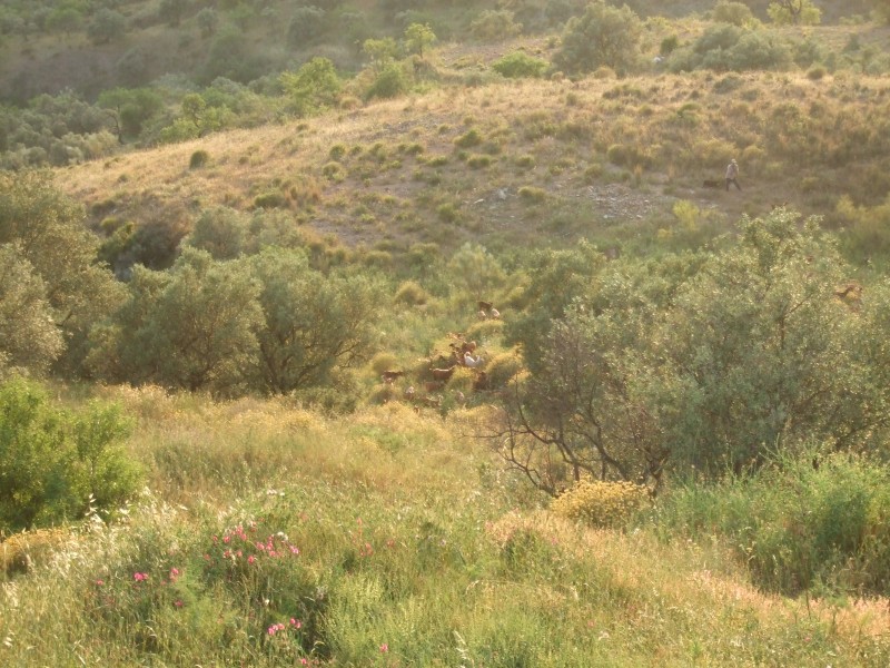 Anadalusien 2009 - 0109 